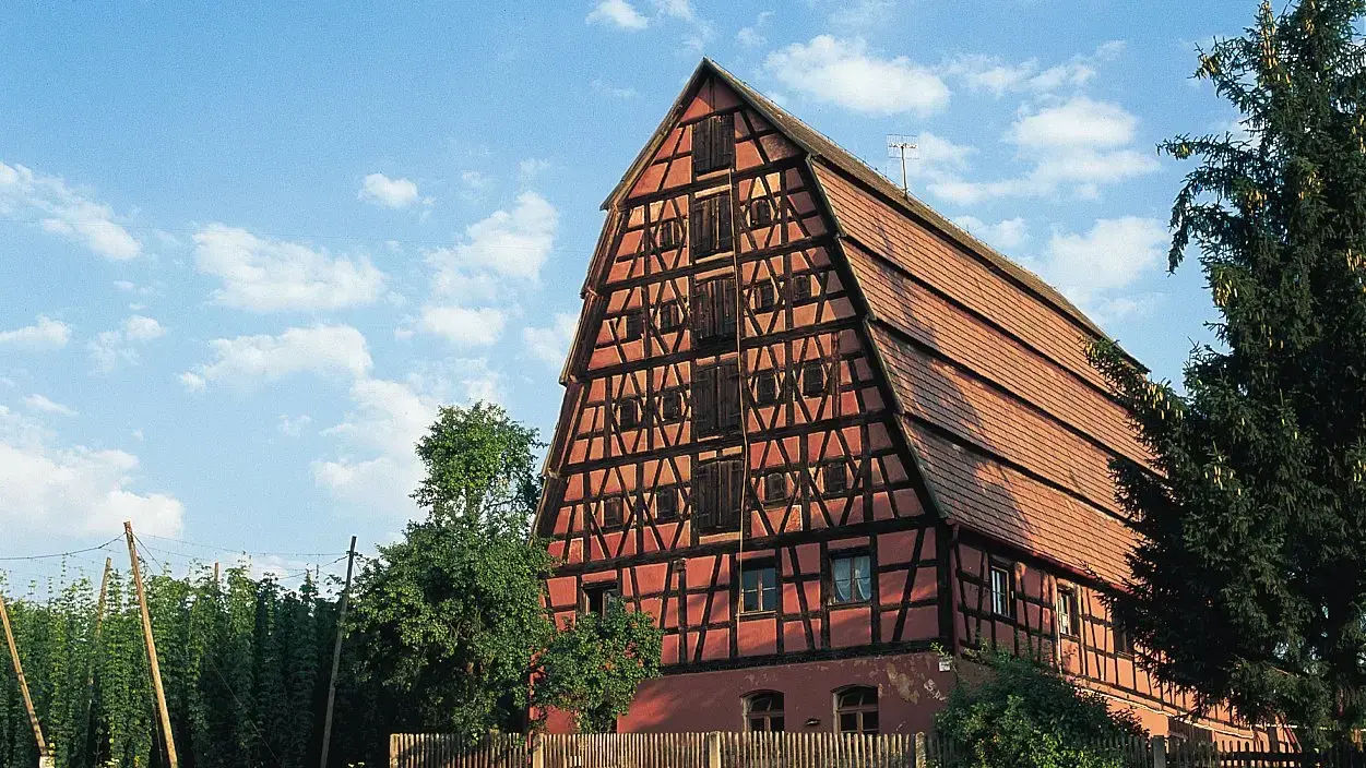 Hopfen in Deutschland hat eine Heimat